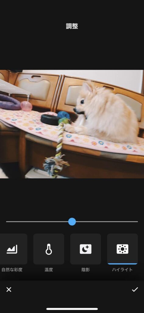 ハイライト