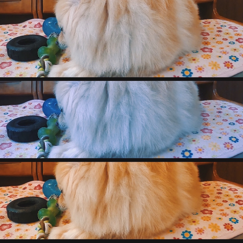 温度例