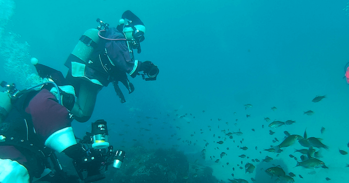 GoPro(ゴープロ)ダイビング!伊豆のダイビングスポット4選