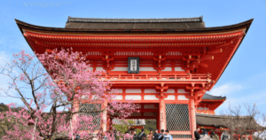 GoPro（ゴープロ）を持ってインスタ映えスポットへ【京都旅】