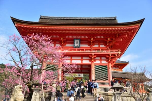 GoPro（ゴープロ）を持ってインスタ映えスポットへ【京都旅】