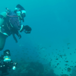 GoPro（ゴープロ）ダイビング！伊豆のダイビングスポット4選